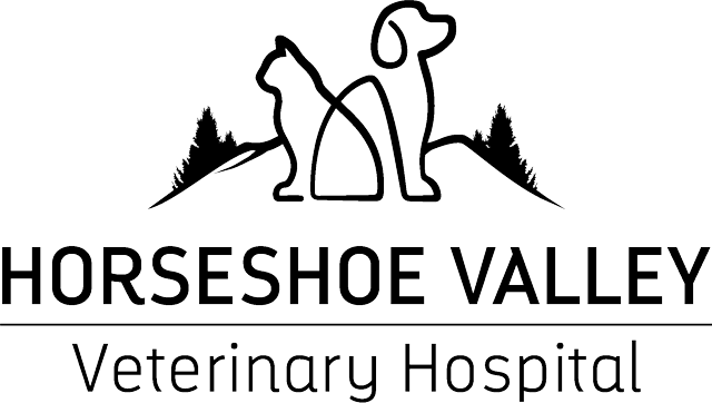 Horseshoe Valley Veterinary Hospital  Logo